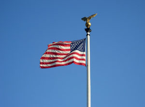 USA flag representing the Democratic Negative Political Narration page.