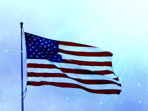 USA Flag representing the Voicing Endorsement Features page.